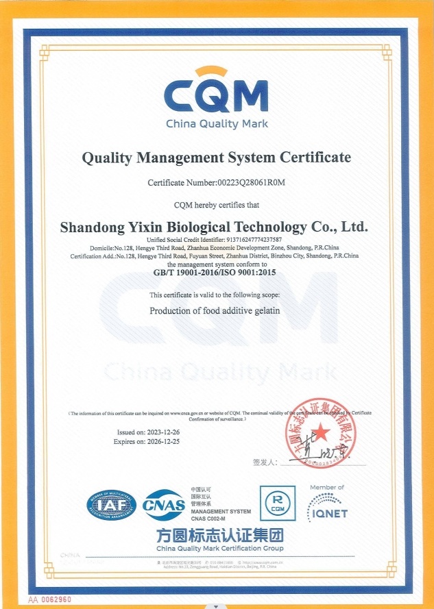 ISO9001